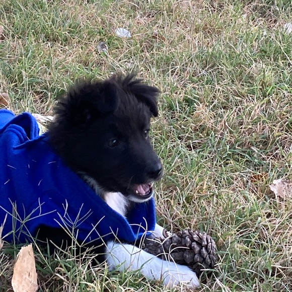 Meet your Posher, Charlotte - Picture 1 of 1